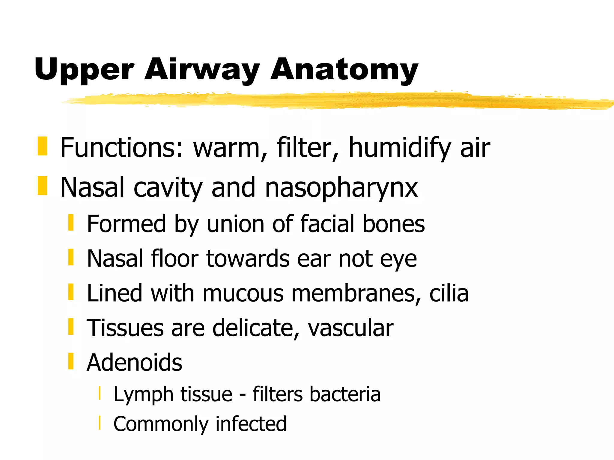 Upper Airway Anatomy Functions: warm, filter, humidify air Nasal cavity and nasopharynx Formed by union of facial bones Nasal floor towards ear not eye Lined with mucous membranes, cilia Tissues are delicate, vascular Adenoids Lymph tissue - filters bacteria Commonly infected 