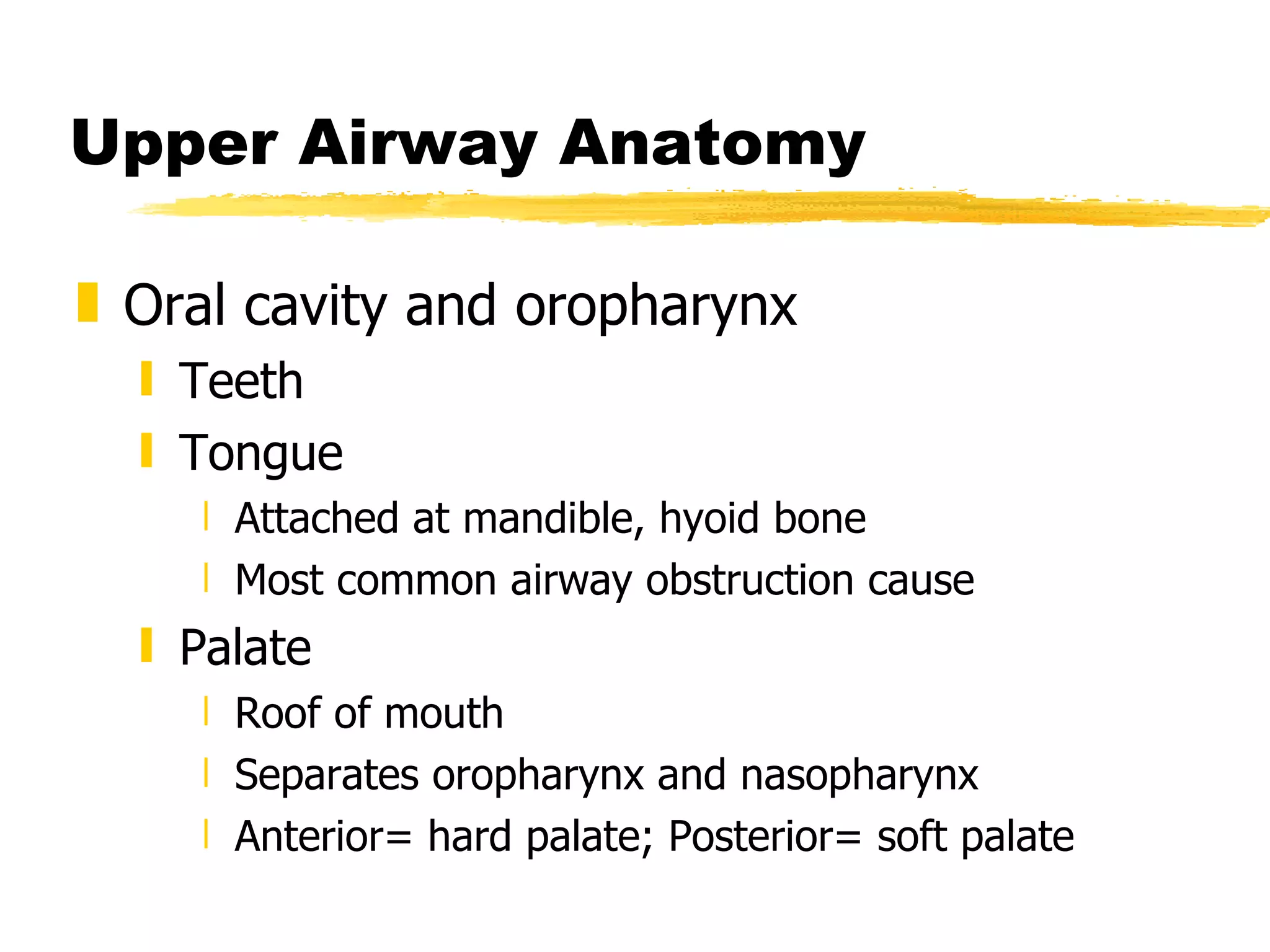 Upper Airway Anatomy Oral cavity and oropharynx Teeth Tongue Attached at mandible, hyoid bone Most common airway obstruction cause Palate Roof of mouth Separates oropharynx and nasopharynx Anterior= hard palate; Posterior= soft palate 