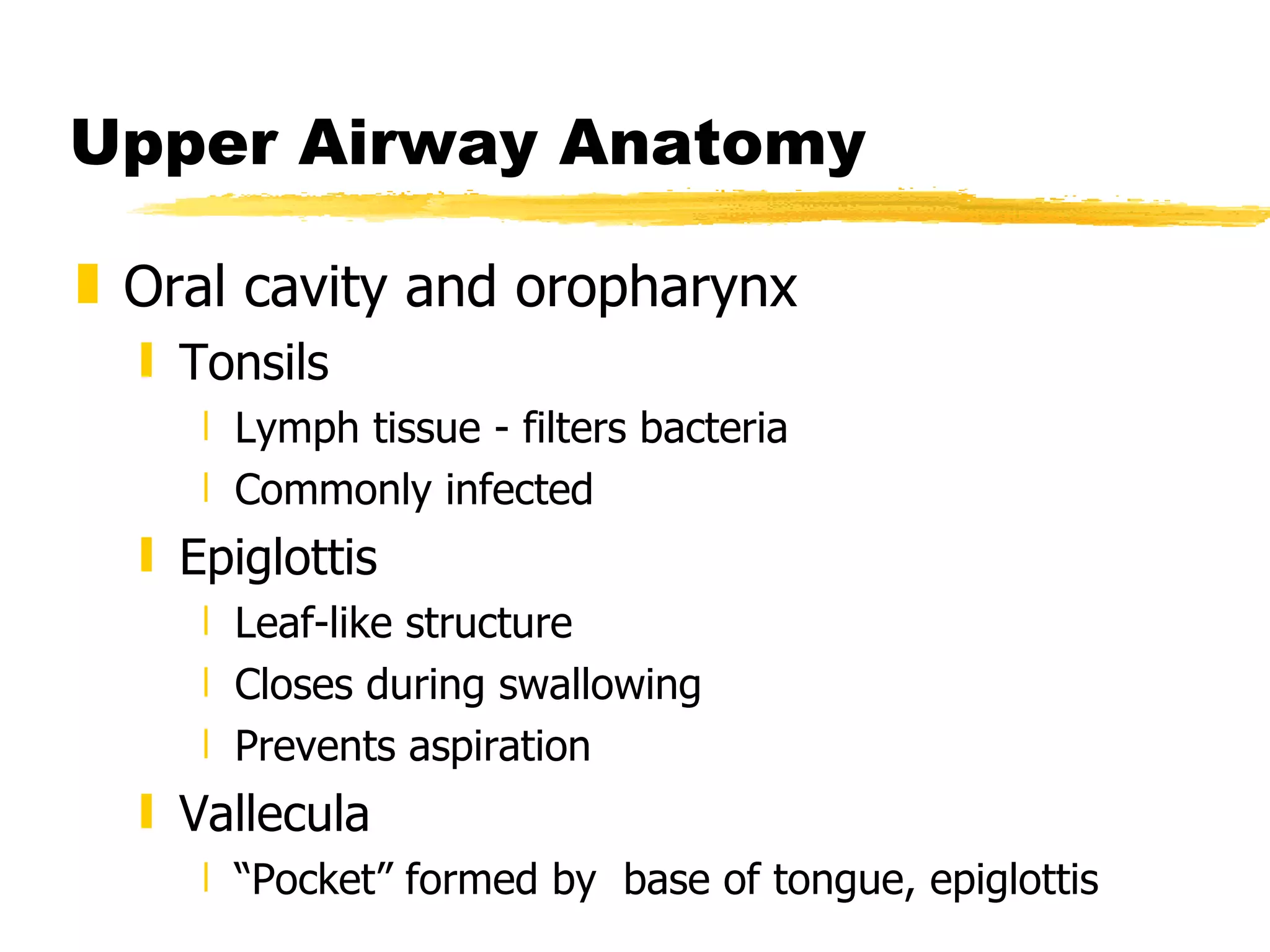 Upper Airway Anatomy Oral cavity and oropharynx Tonsils Lymph tissue - filters bacteria Commonly infected Epiglottis Leaf-like structure Closes during swallowing Prevents aspiration Vallecula “ Pocket” formed by  base of tongue, epiglottis 