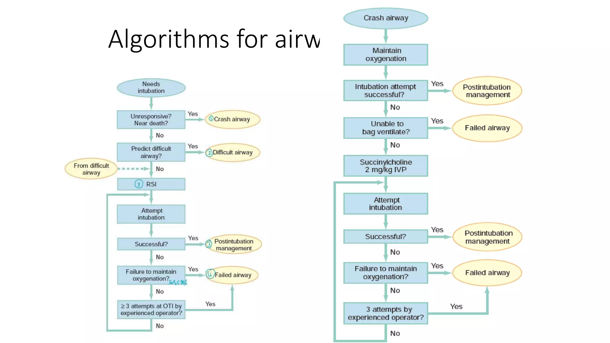 Main Airway Algorithm Airway management techniques by Dr Than Vutha | PPTX