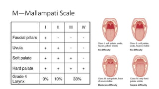 M—Mallampati Scale
 