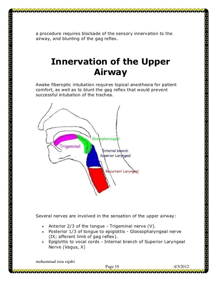 Airway manegement