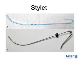 Stylet
 