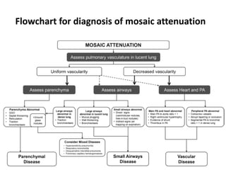 135
Flowchart for diagnosis of mosaic attenuation
 