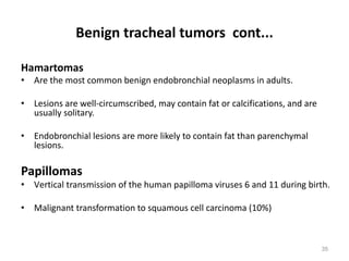 35
Benign tracheal tumors cont...
Hamartomas
• Are the most common benign endobronchial neoplasms in adults.
• Lesions are well-circumscribed, may contain fat or calcifications, and are
usually solitary.
• Endobronchial lesions are more likely to contain fat than parenchymal
lesions.
Papillomas
• Vertical transmission of the human papilloma viruses 6 and 11 during birth.
• Malignant transformation to squamous cell carcinoma (10%)
 