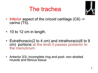 4
The trachea
• Inferior aspect of the cricoid cartilage (C6) ->
carina (T5).
• 10 to 12 cm in length.
• Extrathoracic(2 to 4 cm) and intrathoracic(6 to 9
cm) portions at the level it passes posterior to
the manubrium
• Anterior 2/3- incomplete ring and post- non straited
muscle and fibrous tissue
 