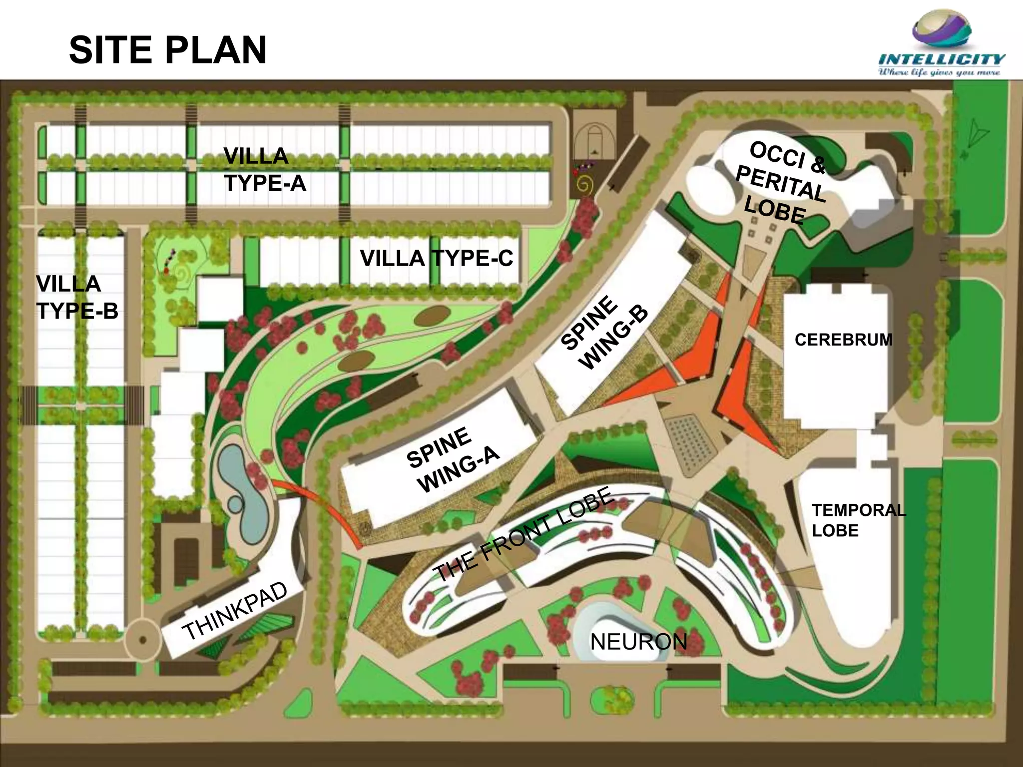 SITE PLAN
CEREBRUM
TEMPORAL
LOBE
NEURON
VILLA
TYPE-A
VILLA TYPE-C
VILLA
TYPE-B
 