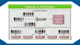 EDUCATION BACKGROUND
 