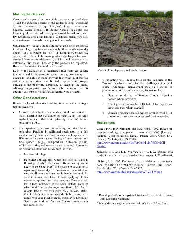 Field Facts Corn Replant Guide Southern US