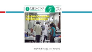 Prof. Dr. Eduardo J. S. Honorato
 