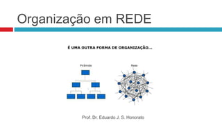 Organização em REDE
Prof. Dr. Eduardo J. S. Honorato
 