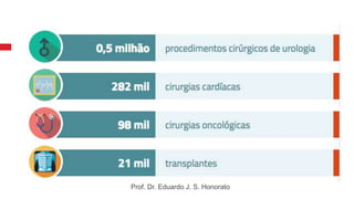 Prof. Dr. Eduardo J. S. Honorato
 