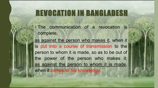 AIS 2102 Acceptance in Contract Law