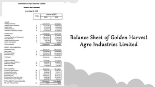 Balance Sheet of Golden Harvest
Agro Industries Limited
 