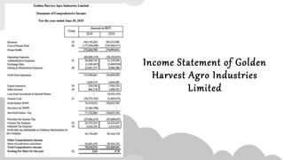 Income Statement of Golden
Harvest Agro Industries
Limited
 