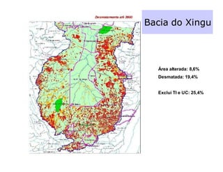 Bacia do Xingu



  Área alterada: 8,6%
  Desmatada: 19,4%


  Exclui TI e UC: 25,4%
 