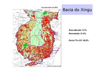 Bacia do Xingu



  Área alterada: 9,1%
  Desmatada: 31,4%


  Exclui TI e UC: 40,8%
 