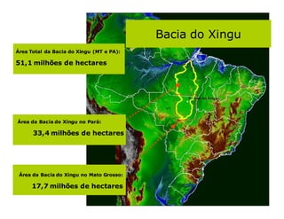Bacia do Xingu
Área Total da Bacia do Xingu (MT e PA):

51,1 milhões de hectares




Área da Bacia do Xingu no Pará:

      33,4 milhões de hectares




 Área da Bacia do Xingu no Mato Grosso:

      17,7 milhões de hectares
 