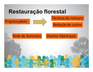 Restauração florestal
                           Técnicas de restauro
Projetos piloto
                            Redução de custos


     Rede de Sementes   Viveiros Municipais
 