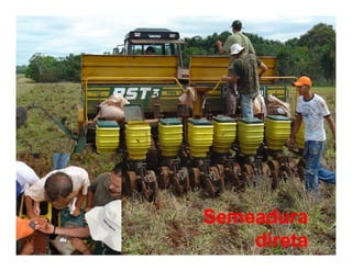 Semeadura
    direta
 