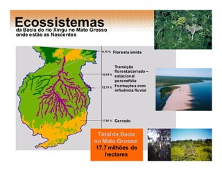 Ecossistemas
da Bacia do rio Xingu no Mato Grosso
onde estão as Nascentes


                                       Floresta úmida


                                       Transição
                                       floresta/cerrado –
                                       estacional
                                       pe renefólia
                                       Formaçõe s com
                                       influência fluvial




                                       Cerrado


                               Total da Bacia
                              no Mato Grosso:
                              17,7 milhões de
                                  hectares
 