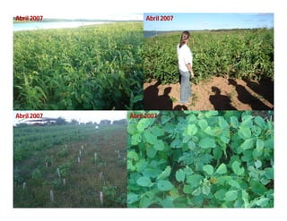 Abril 2007        Abril 2007




Abril 2007   Abril 2007
 