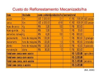 Custo do Reflorestamento Mecanizado/ha




                                    (ISA, 2008)
 