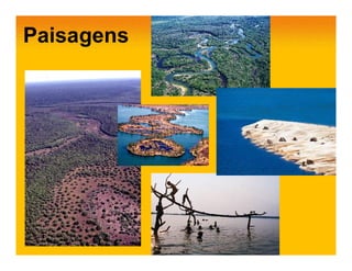 Paisagens
 