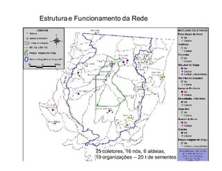 Estrutura e Funcionamento da Rede




                 75 coletores, 16 nós, 6 aldeias,
                 19 organizações – 20 t de sementes
 
