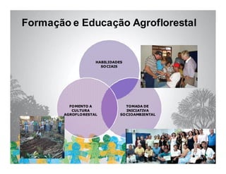 Formação e Educação Agroflorestal


                   HABILIDADES
                     SO CIAIS




         FOMENTO A              TOMADA DE
          CULTURA               INICIATIVA
       AGROFLORESTAL         SO CIOAMBIENTAL
 