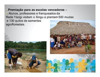 Premiação para as escolas vencedoras –
  Alunos, professores e franqueados da
Rede Yázigi visitam o Xingu e plantam 500 mudas
e 130 quilos de sementes
agroflorestais.
 