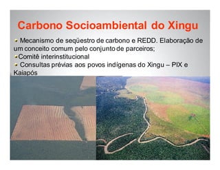 Carbono Socioambiental do Xingu
  Mecanismo de seqüestro de carbono e REDD. Elaboração de
um conceito comum pelo conjunto de parceiros;
 Comitê interinstitucional
  Consultas prévias aos povos indígenas do Xingu – PIX e
Kaiapós
 