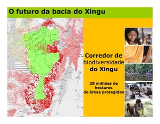 O futuro da bacia do Xingu




                    Corredor de
                    biodiversidade
                      do Xingu

                       28 milhões de
                         hectares
                    de áreas protegidas
 