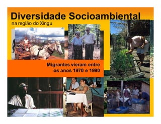 Diversidade Socioambiental
na região do Xingu




        18 povos indígenas (14 vivem
              Migrantes vieram entre
        no Parqueos anos 1970 Xingu)
                  Indígena do e 1990
 