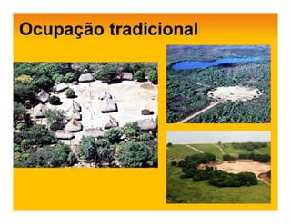 Ocupação tradicional
 