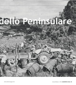 Gennaio/Febbraio - 2010 | SUDAMERICA OGGI | 15www.sudamericaoggi.com.br
odello Peninsulare
03_Di_Biaggio.indd 15 17.02.10 10:23:34
 