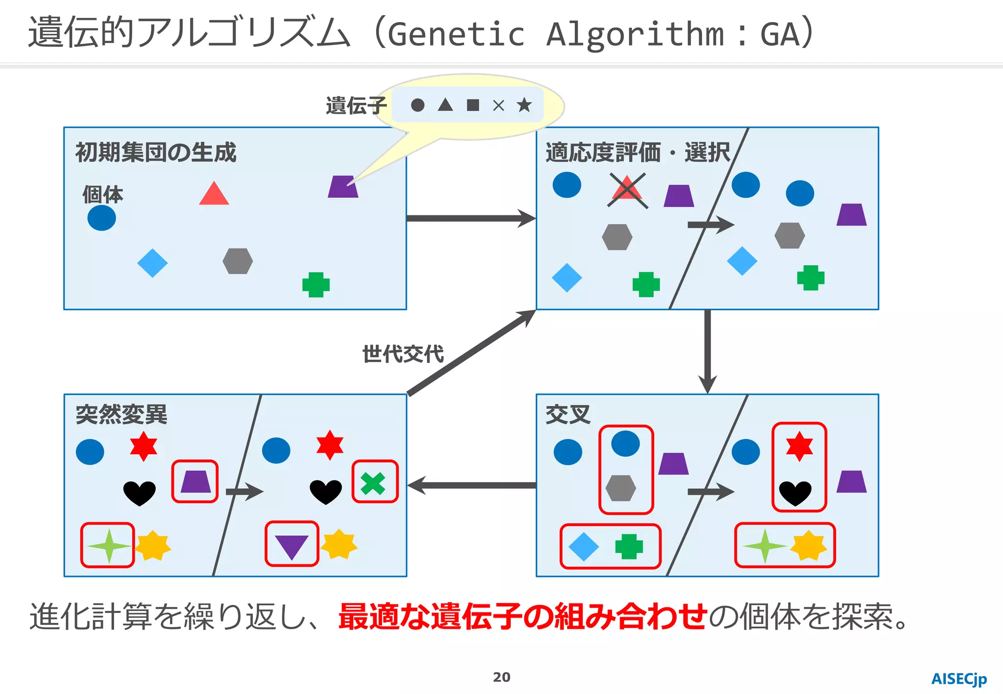 AISECjp
遺伝的アルゴリズム（Genetic Algorithm：GA）
進化計算を繰り返し、最適な遺伝子の組み合わせの個体を探索。
● ▲ ■ × ★
初期集団の生成 適応度評価・選択
交叉突然変異
個体
遺伝子
世代交代
20
 