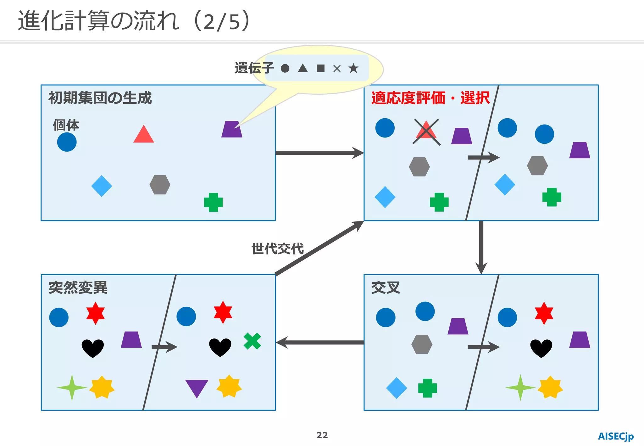 進化計算の流れ（2/5）
AISECjp
初期集団の生成 適応度評価・選択
交叉突然変異
個体
● ▲ ■ × ★遺伝子
世代交代
22
 