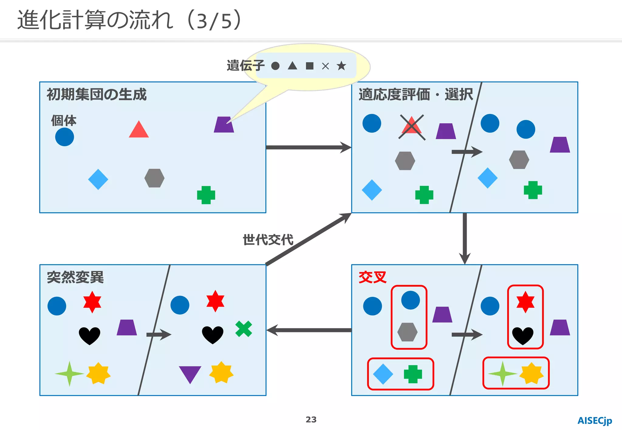 進化計算の流れ（3/5）
AISECjp
初期集団の生成 適応度評価・選択
交叉突然変異
個体
● ▲ ■ × ★遺伝子
世代交代
23
 