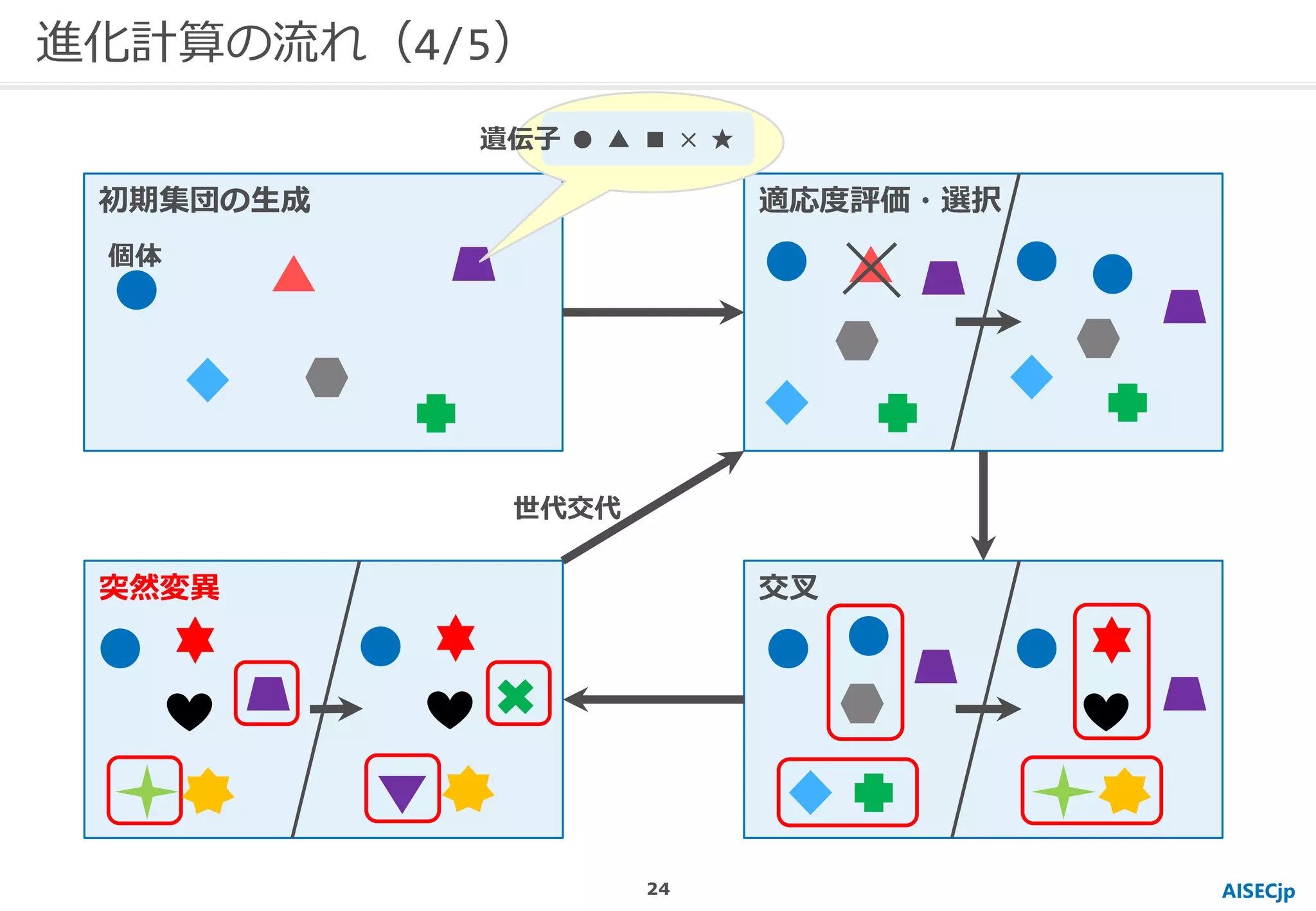 進化計算の流れ（4/5）
AISECjp
初期集団の生成 適応度評価・選択
交叉突然変異
個体
● ▲ ■ × ★遺伝子
世代交代
24
 