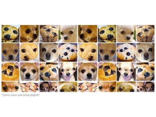 *İşimiz zaten pek kolay değildi!
 