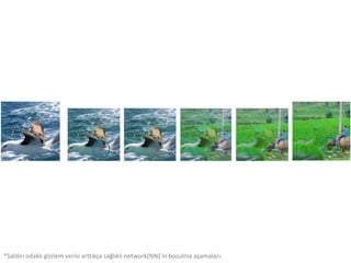 *Saldırı odaklı gözlem verisi arttıkça sağlıklı network(NN)’in bozulma aşamaları.
 