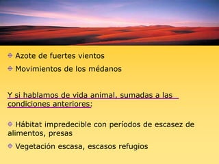  Azote de fuertes vientos Movimientos de los médanosY si hablamos de vida animal, sumadas a las condiciones anteriores: Hábitat impredecible con períodos de escasez de alimentos, presas   Vegetación escasa, escasos refugios