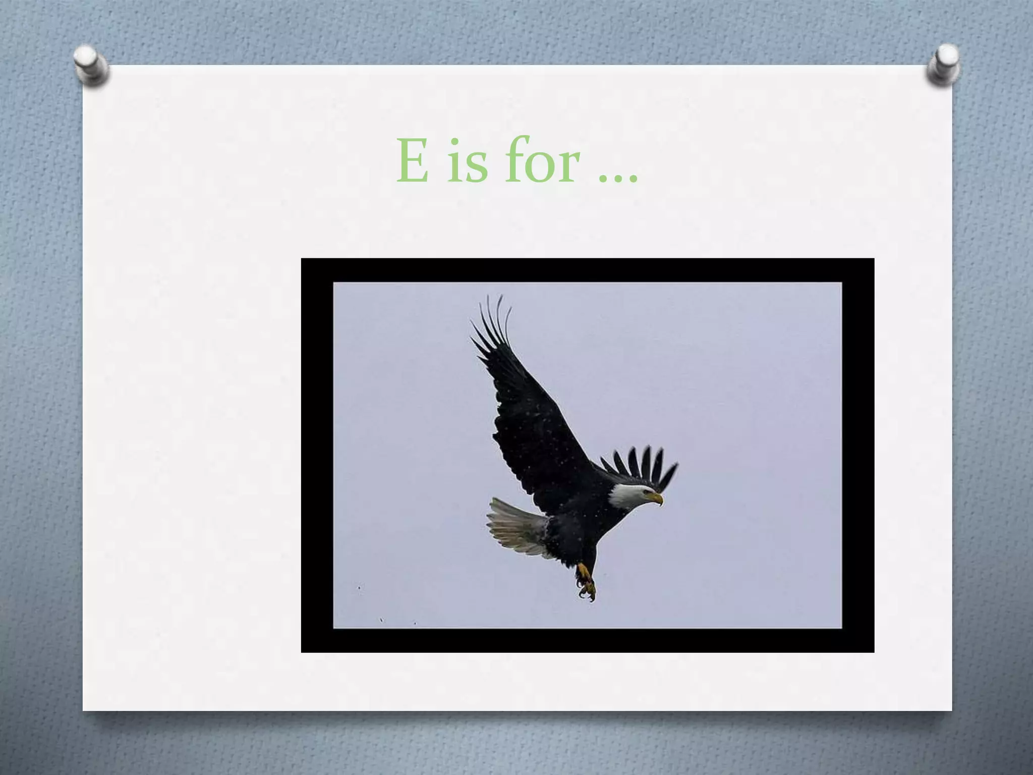 E is for …