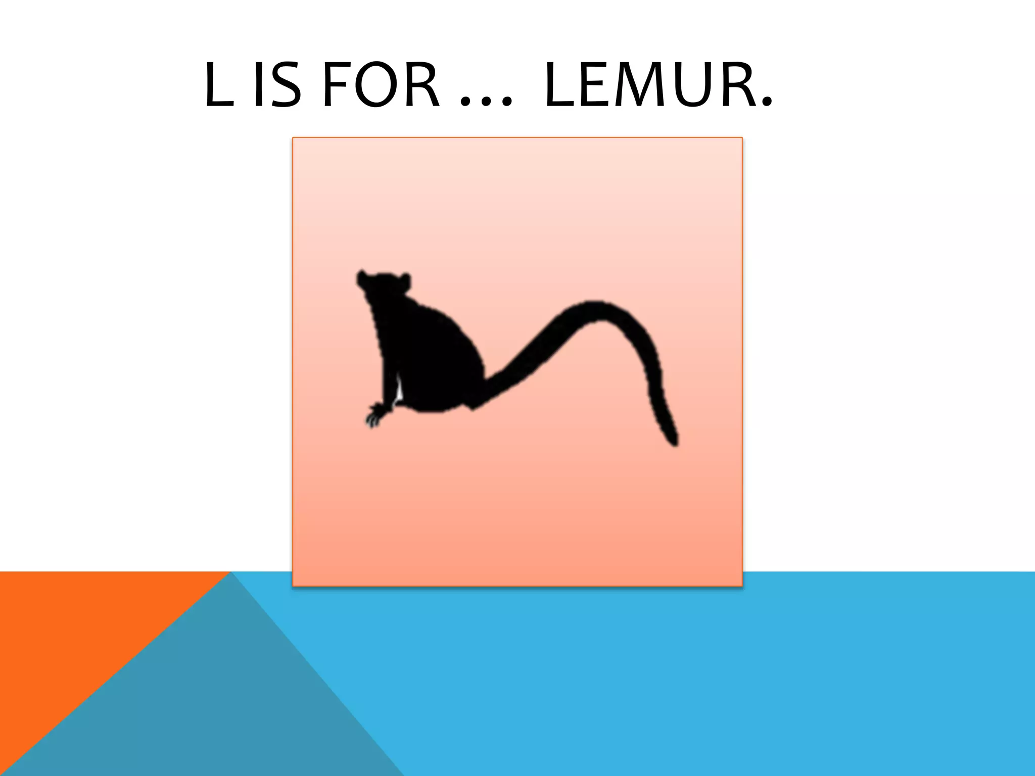 L IS FOR … LEMUR.