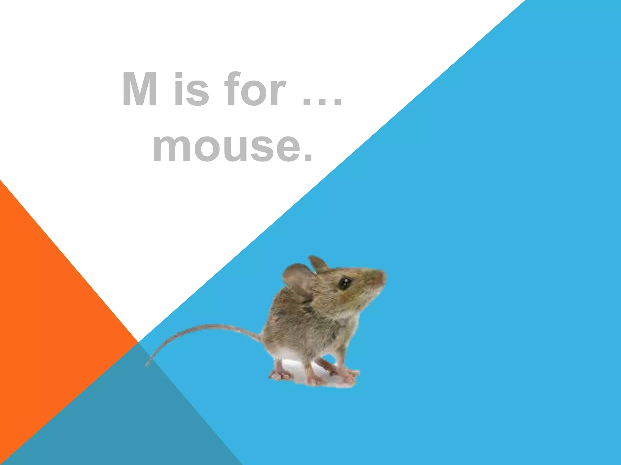 M is for …
mouse.