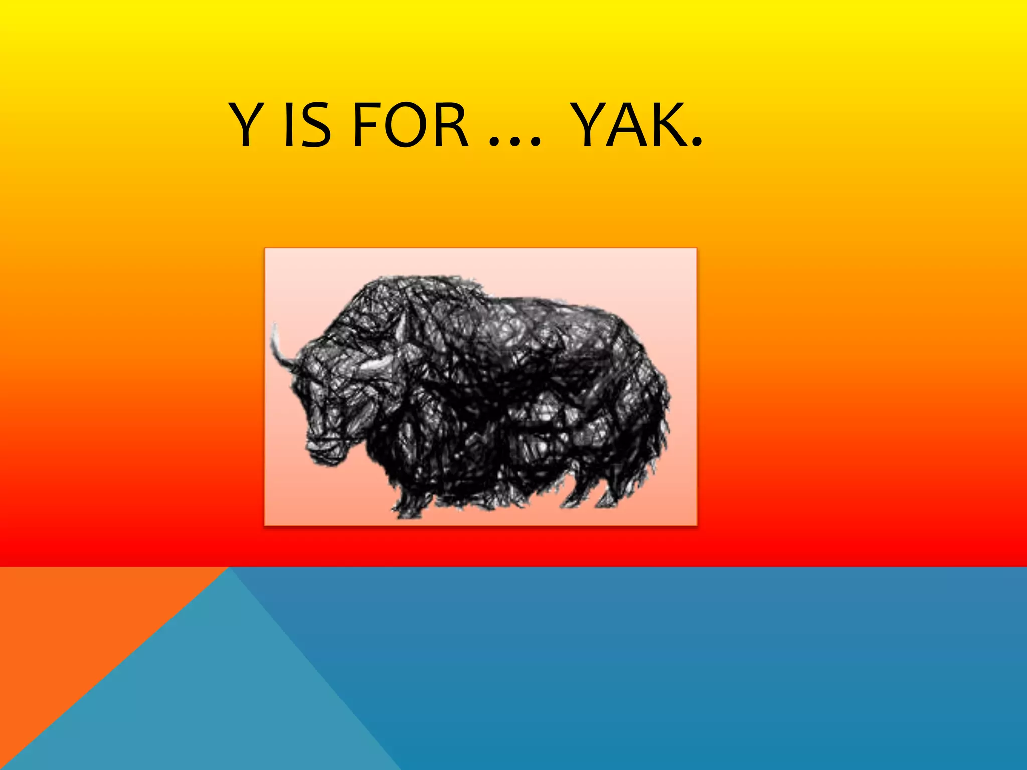 Y IS FOR … YAK.