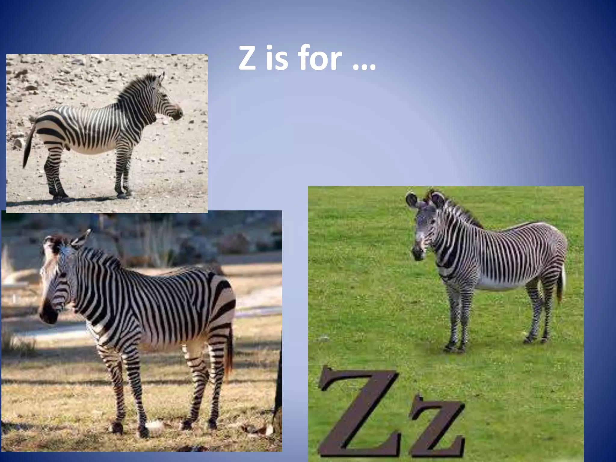 Z is for …