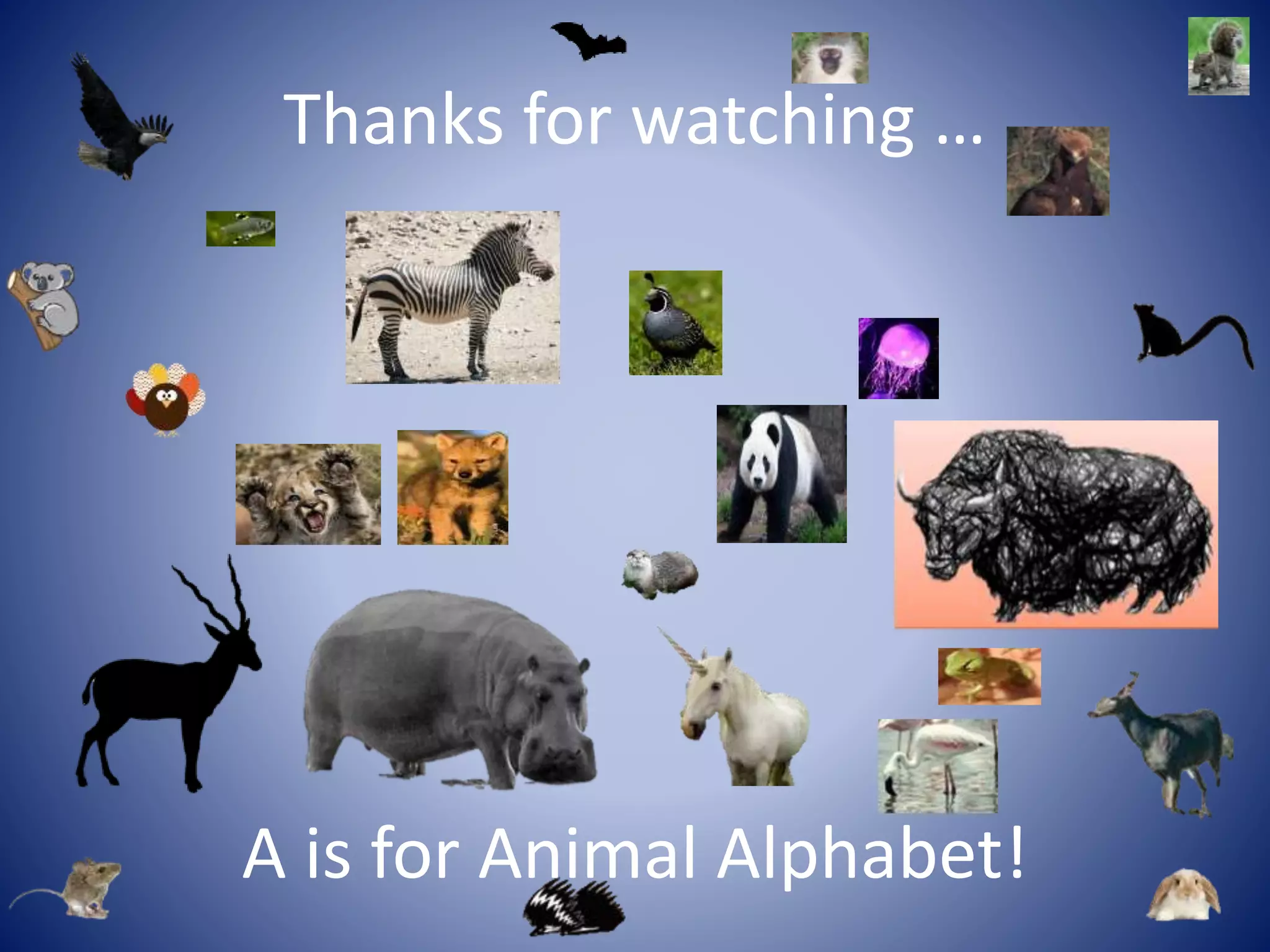 Thanks for watching …
A is for Animal Alphabet!