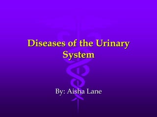 Diseases of the Urinary
       System


      By: Aisha Lane
 